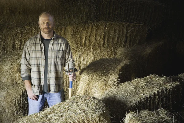 Male farmer in hay barn