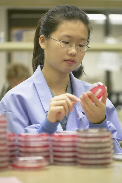 Asian female medical technician with petri dish