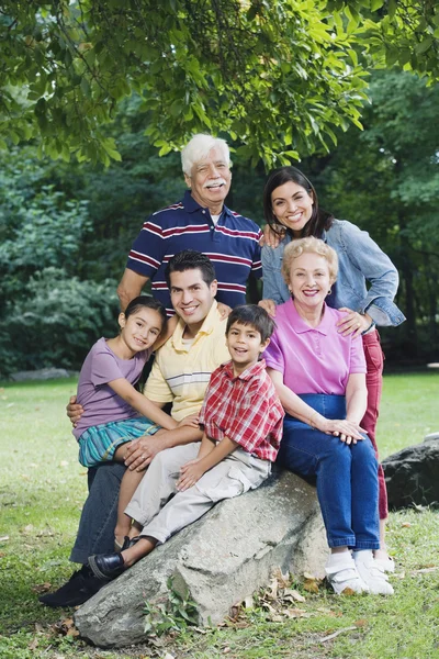 在公园里微笑的多代西班牙裔美国人家庭 - 图库