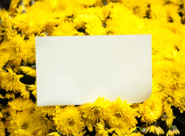 Blank note attached to a beautiful bouquet of yellow daisies. Thank you or greeting card idea.