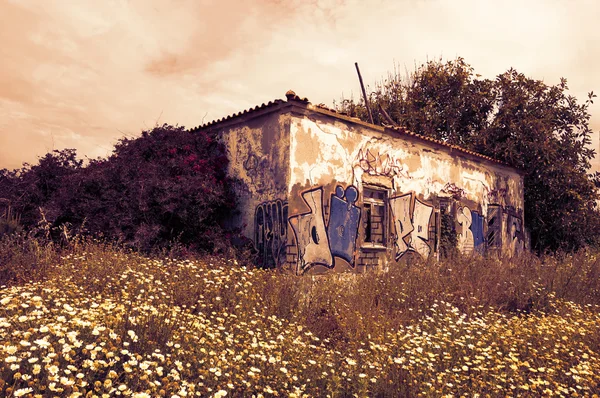 Old abandoned stone farm house covered with graffiti and  surrounded by daisy flowers. South of Portugal. Sunset. Toned photo. ALGARVE, PORTUGAL - MAY 3, 2015: Ruined farmhouse covered with graffiti.