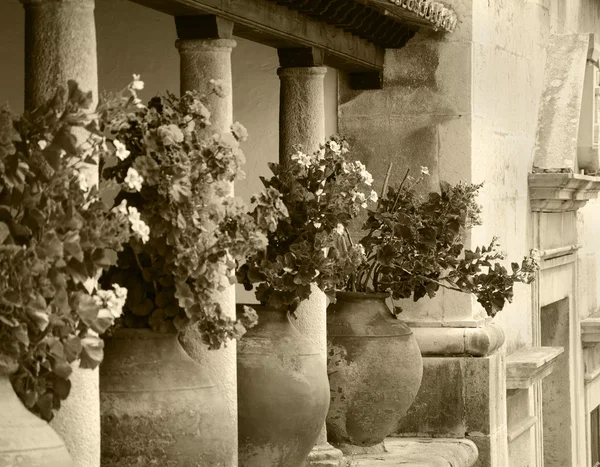 Geranium flowers in big ceramic pots between the columns at the terrace of old house. Obidos, Portugal. Selective focus on remote flowerpot. A game of light and shadow. Aged photo