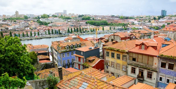 Garden on the rooftop and red tiled roofs houses of old city. Porto, Portugal.