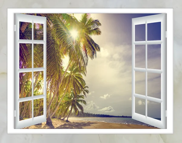Window open palm beach