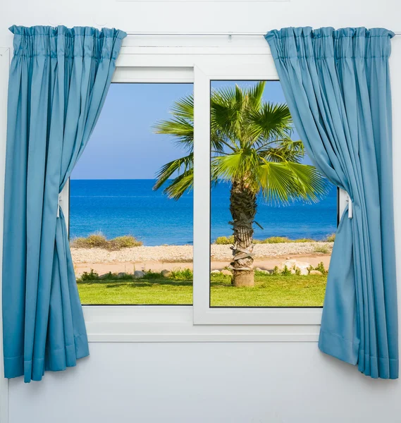 Window view of the sea palm