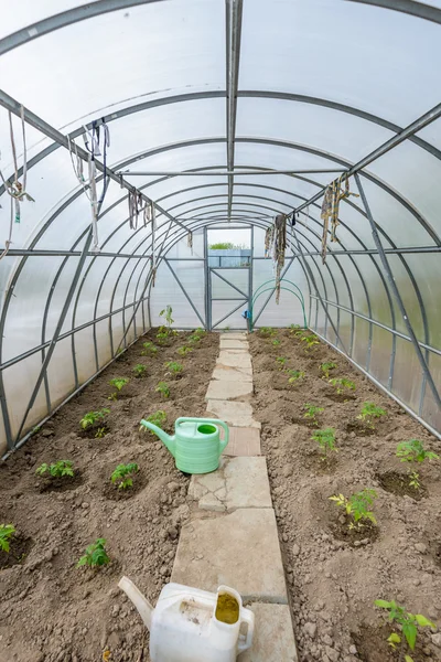 Arched greenhouse