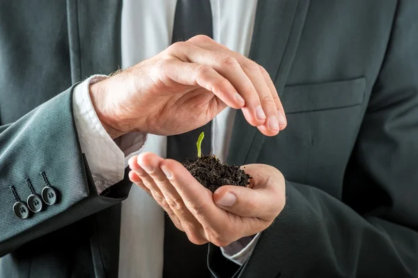 Businessman nurturing a germinating seedling