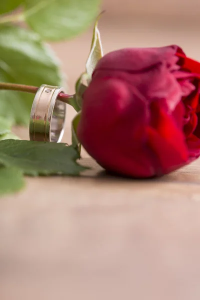 Romantic wedding band on a single red rose