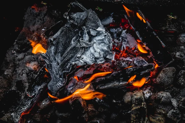 Firewood burning in the brazier. Background