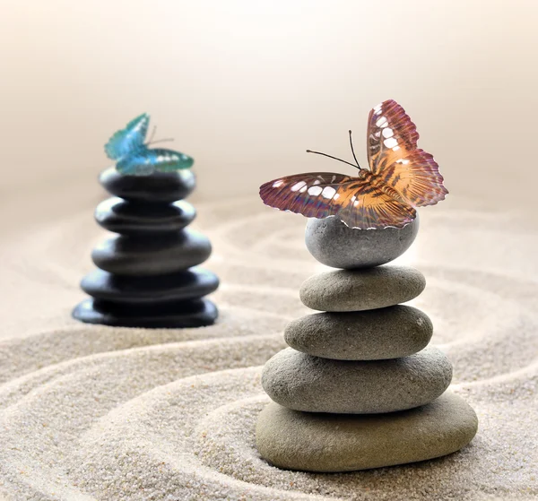 Stone balance and butterfly