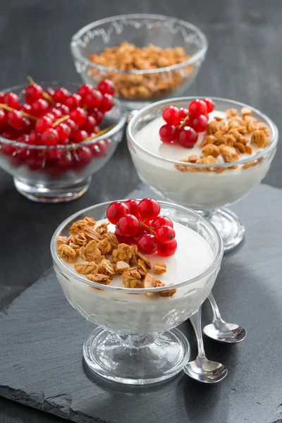 Creamy panna cotta with granola and red currants, vertical