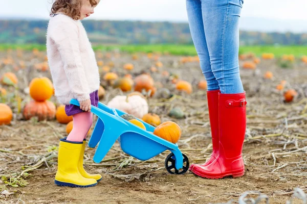 Legs of young woman and her little girl daugher in rainboots.