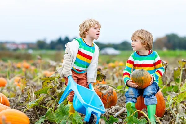 Two little kids boys with big pumpkins on patch