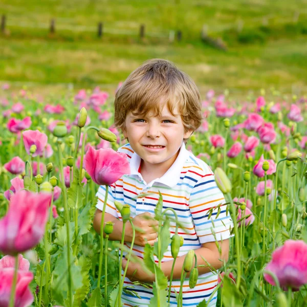 Little kid boy in blooming poppy field