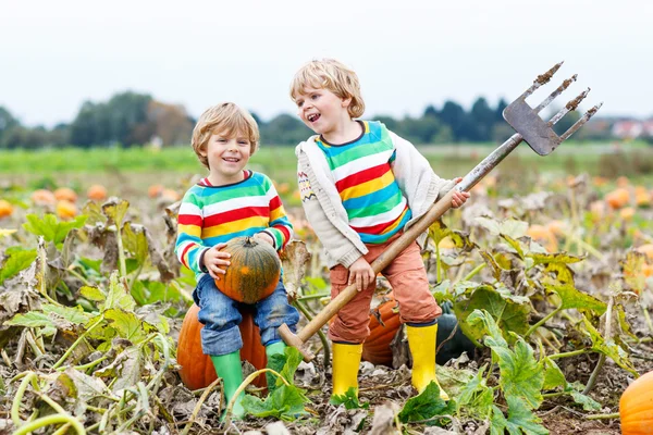 Two little kids boys sitting on big pumpkins on patch