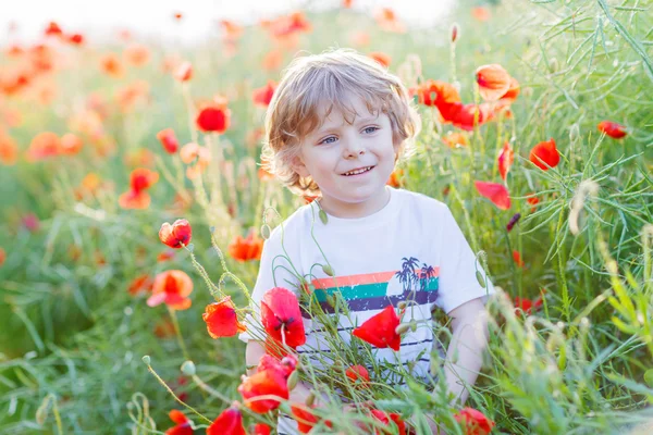 Cute kid boy with poppy flower on poppy field on warm summer day