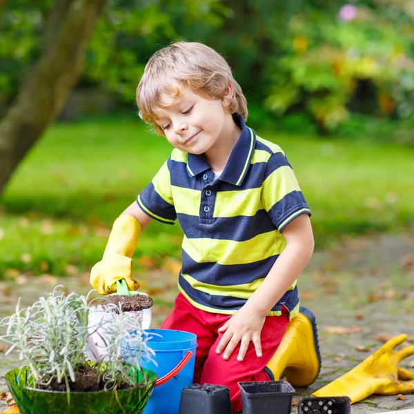 Funny little boy gardening and planting flowers in home's garden