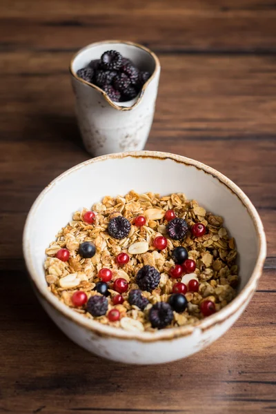 Granola or muesli with oats, fresh berries and nuts in a bowl with a cup of fresh blackberry, selective focus