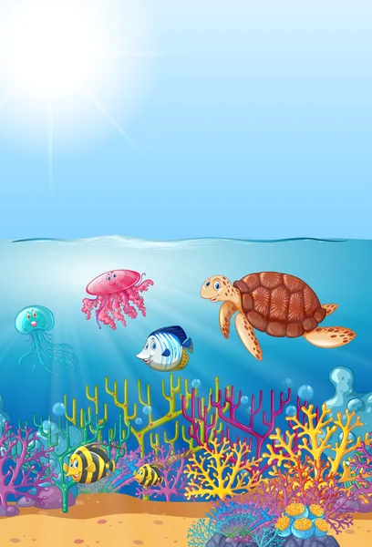 Sea animals swimming under the sea