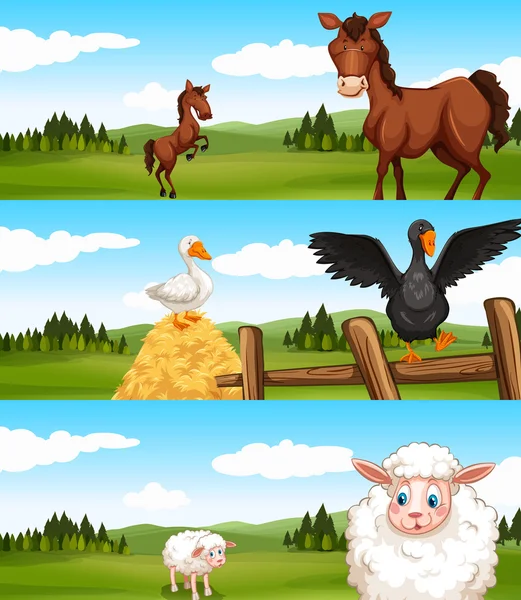 Farm animals living in the farm