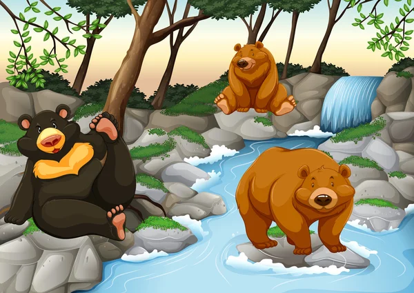 Three bears living by the waterfall