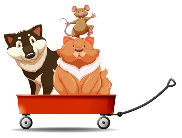 Dog and cat on red wagon