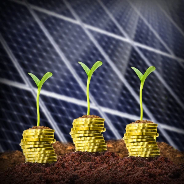 Investments in renewable resources.