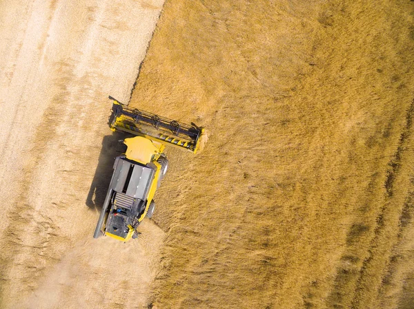 Aerial view of combine harvester on wheat field.