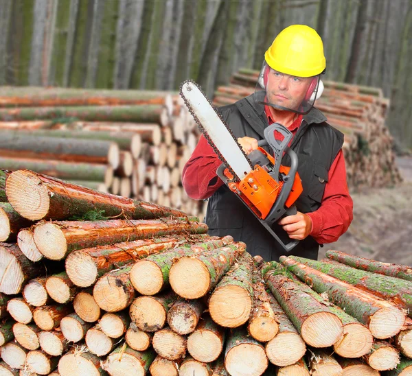 The Lumberjack with chain saw.