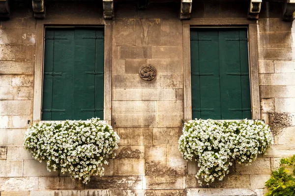 Flowers in a box on the window. Venetian facade