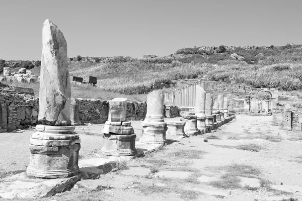 In  perge old construction asia turkey the column  and the roma