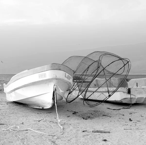 In oman boat in the coastline and seagull near ocean