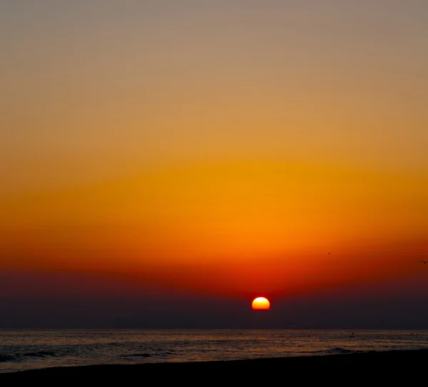 In oman the abstract sun fall down and blur sky composition