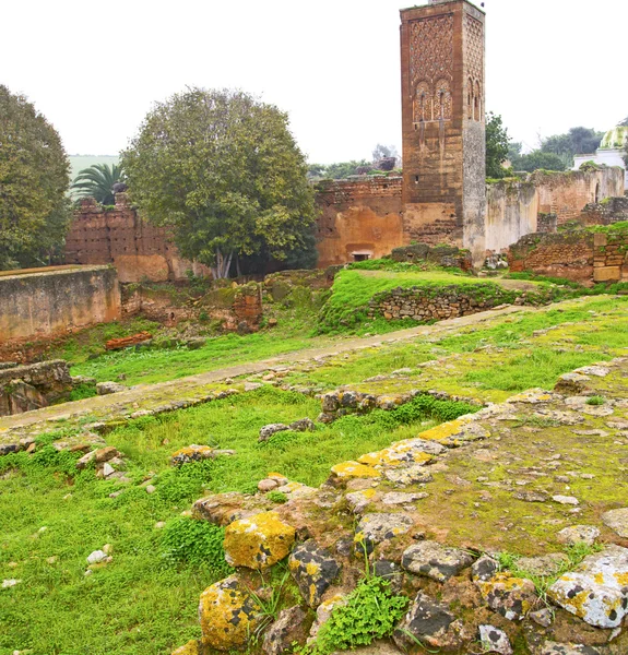 Chellah  in morocco africa the old roman deteriorated monument a