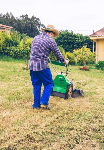 Young man mowing the lawn with lawnmower