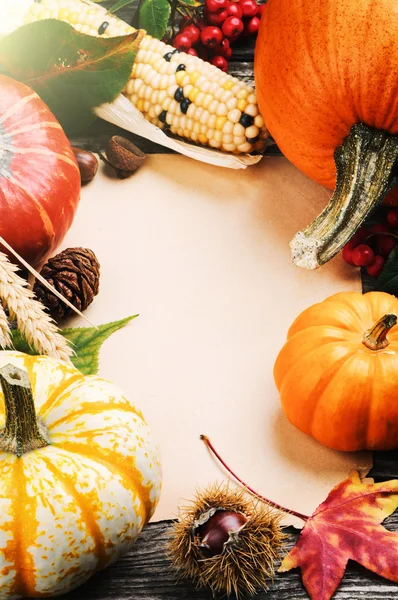 Frame with pumpkins, corn and leaves