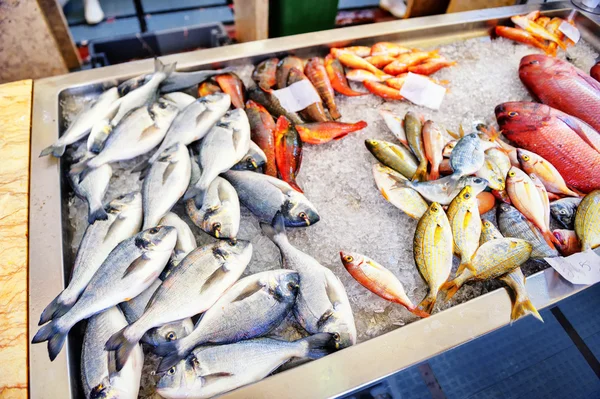 Selection of fresh fish on ice