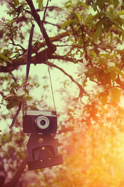 Old retro the camera hangs on an apple-tree in sunny spring day