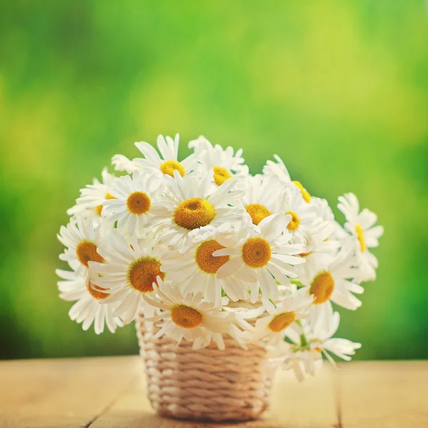 Chamomile, daisies bouquet, bouquet of flowers on green nature b