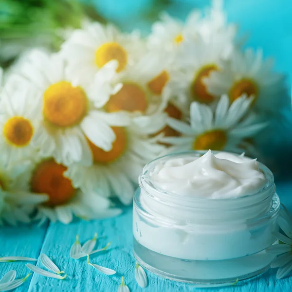 Cosmetic cream with camomile flower for a body and face on blue