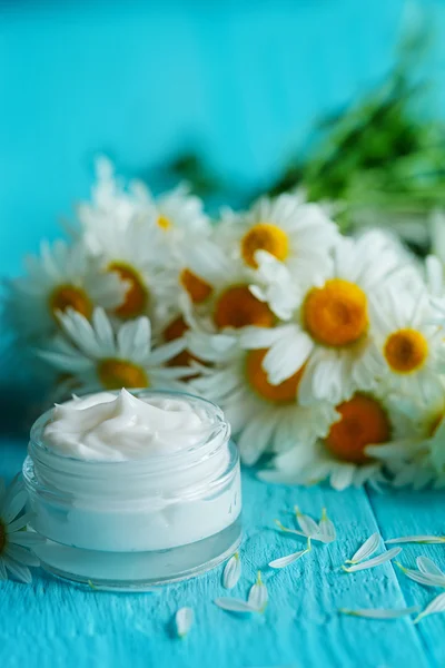 Cosmetic cream with camomile flower or a body and face on blue wooden table