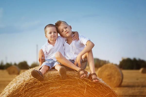 Two little brothers sitting on a haystack in wheat field on warm