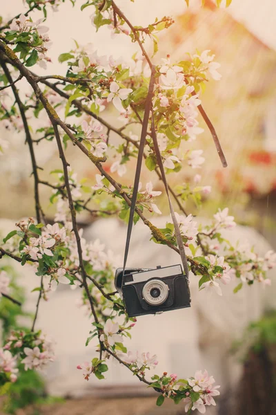 Old retro the camera hangs on an apple-tree in sunny spring day