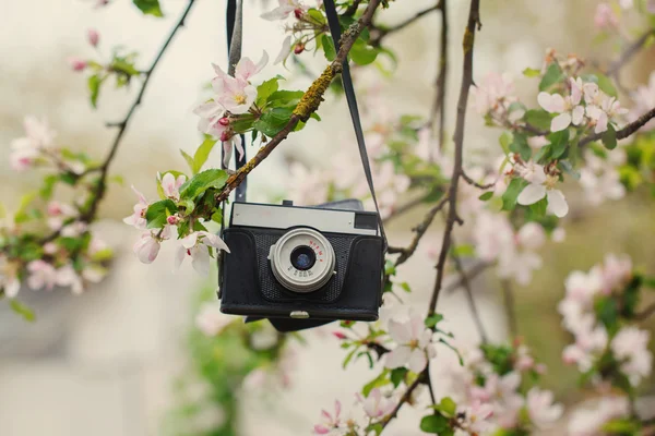 Old retro the camera hangs on an apple-tree in sunny spring day