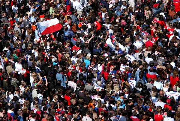 Ice hockey fans celebrating