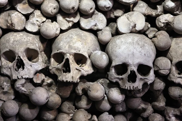 Human bones and skulls in Sedlec Ossuary near Kutna Hora.