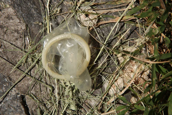 Used condom in a grass ground.