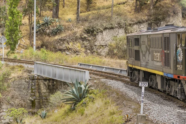 Nariz del Diablo Train Trip Alausi Ecuador