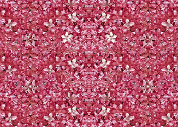Floral Pink Pattern Collage