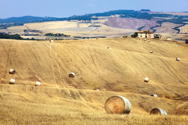 Rural landscapes of Tuscany , Val d\'Orcia, Italy